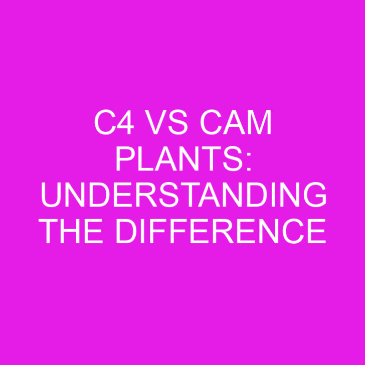 C4 vs CAM Plants: Understanding the Difference