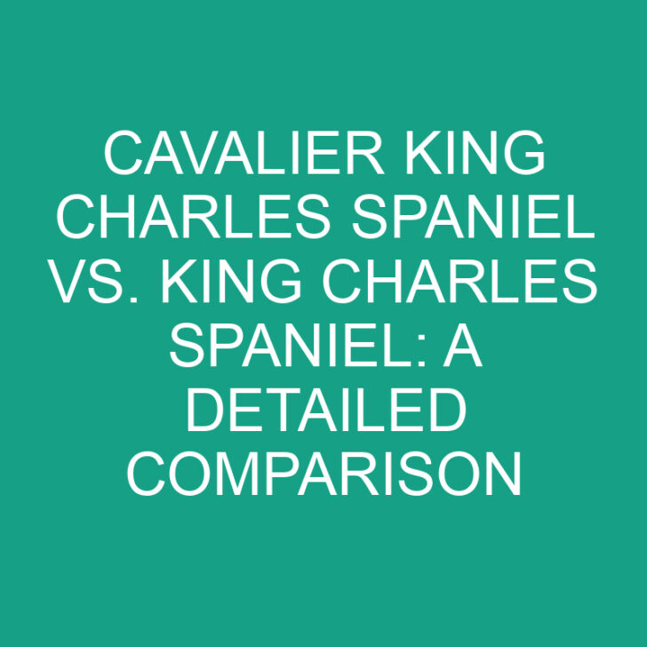 Cavalier King Charles Spaniel vs. King Charles Spaniel: A Detailed Comparison