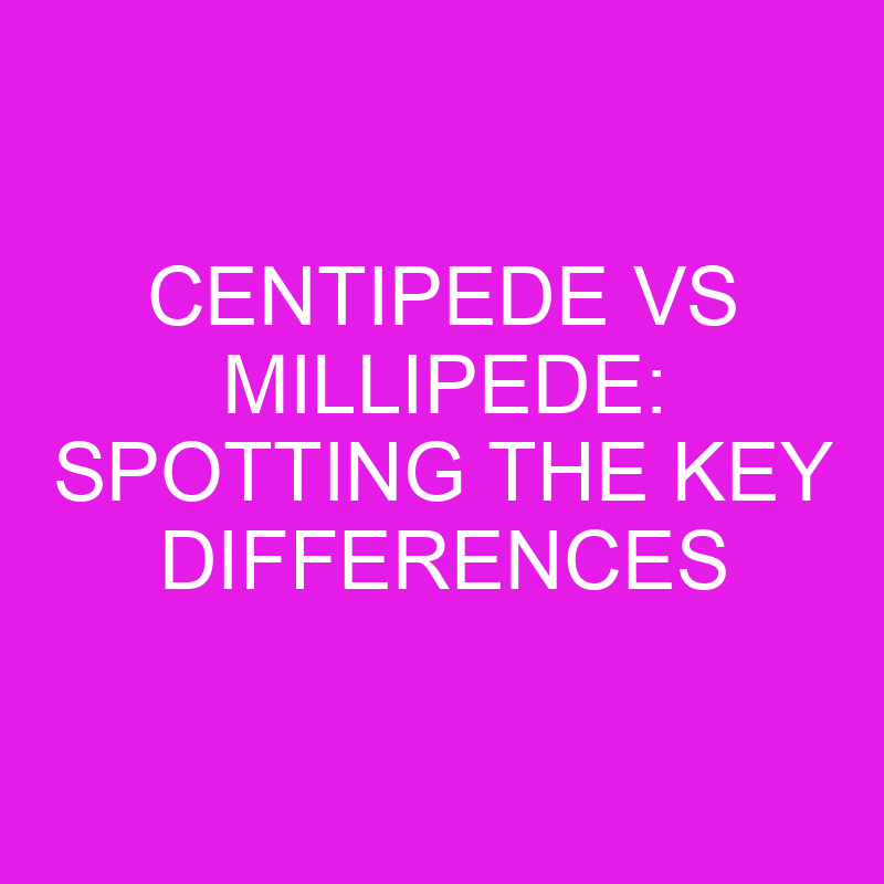 centipede vs millipede spotting the key differences 11969