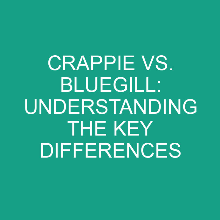 Crappie vs. Bluegill: Understanding the Key Differences