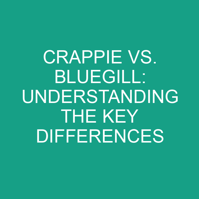 crappie vs bluegill understanding the key differences 11840