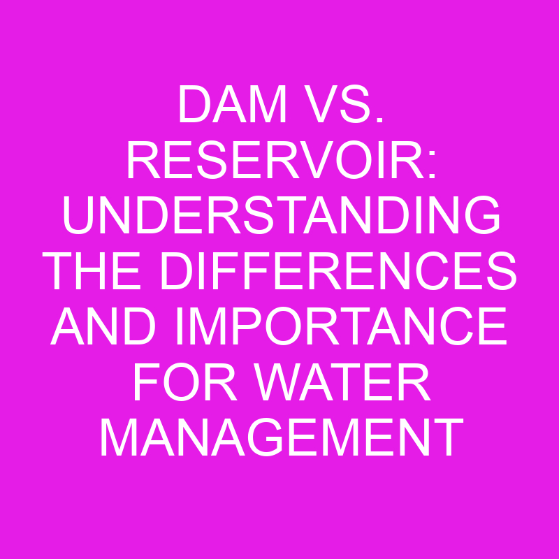 Dam Vs. Reservoir Understanding The Differences And Importance For