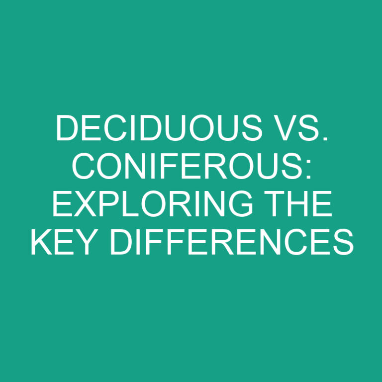Deciduous vs. Coniferous: Exploring the Key Differences