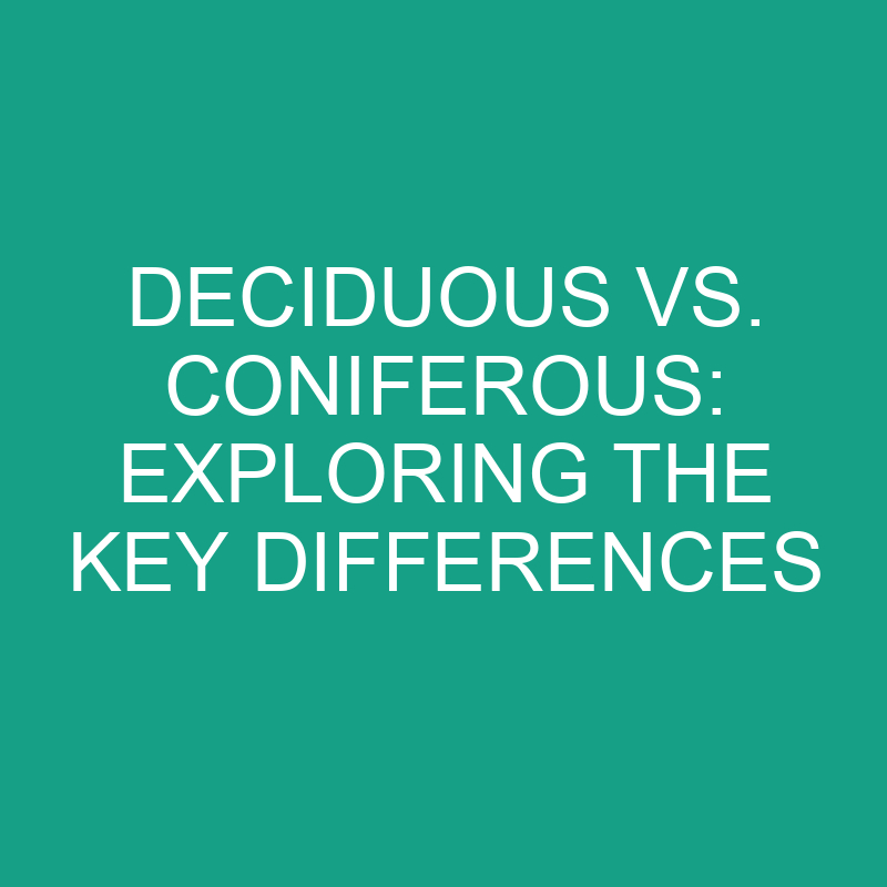 deciduous vs coniferous exploring the key differences 11860