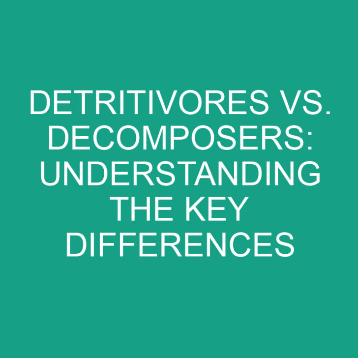 Detritivores vs. Decomposers: Understanding the Key Differences