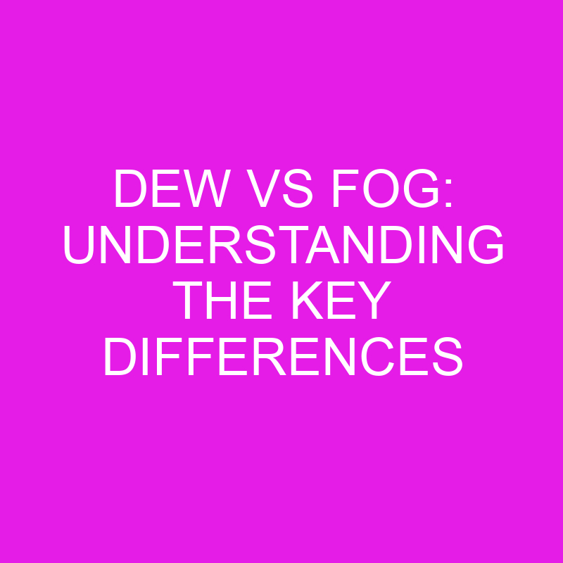 dew vs fog understanding the key differences 11943