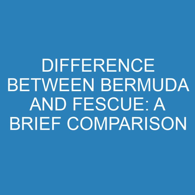 Difference Between Bermuda and Fescue: A Brief Comparison 7 Difference Between Bermuda and Fescue: A Brief Comparison
