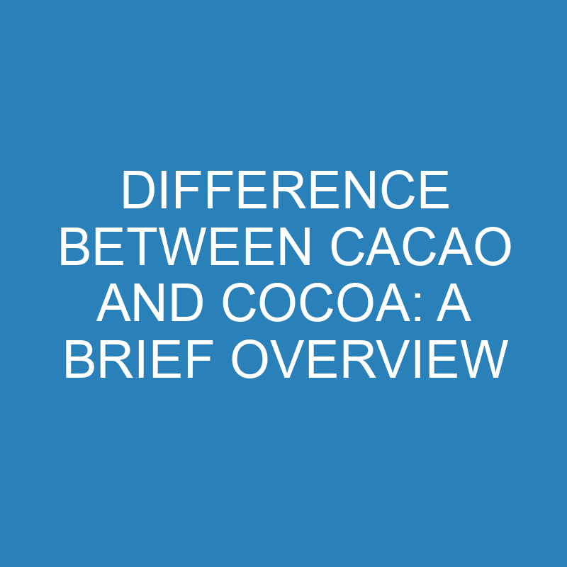 difference between cacao and cocoa a brief overview 13883 1