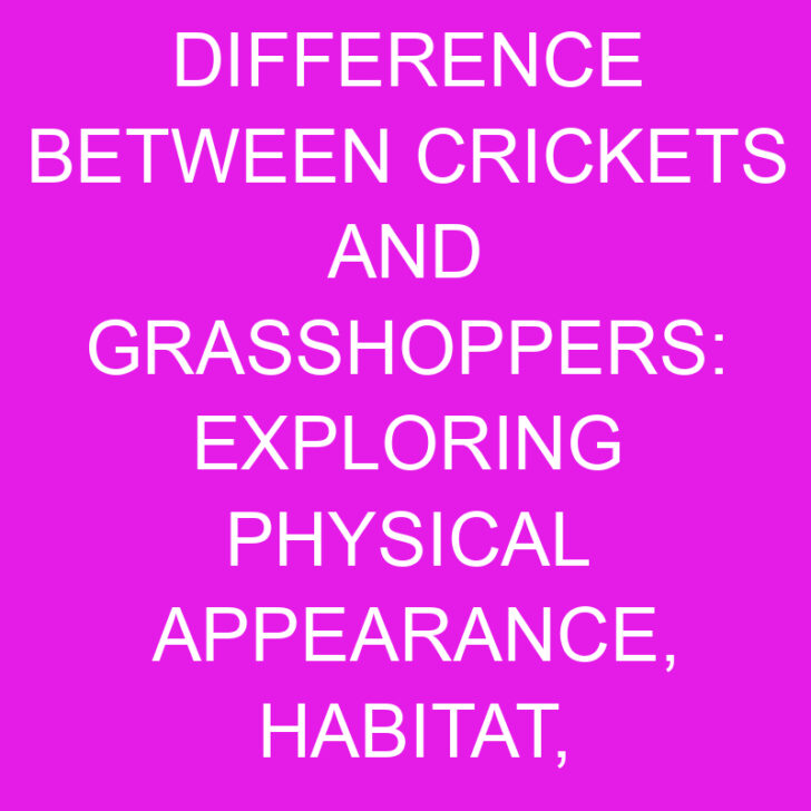 Difference Between Crickets and Grasshoppers: Exploring Physical Appearance, Habitat, Diet, and Communication