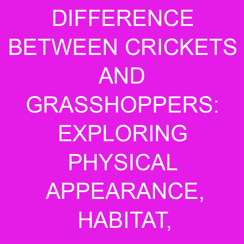 difference between crickets and grasshoppers exploring physical appearance habitat diet and communication 11927