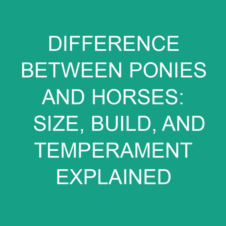 Difference Between Ponies and Horses: Size, Build, and Temperament