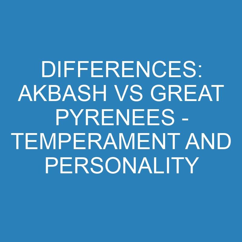 differences akbash vs great pyrenees temperament and personality 11810