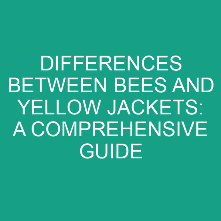 Differences Between Bees and Yellow Jackets: A Comprehensive Guide