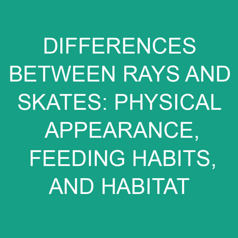 Differences Between Rays and Skates: Physical Appearance, Feeding Habits, and Habitat 2 Differences Between Rays and Skates: Physical Appearance, Feeding Habits, and Habitat