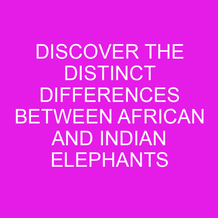 Discover the Distinct Differences Between African and Indian Elephants
