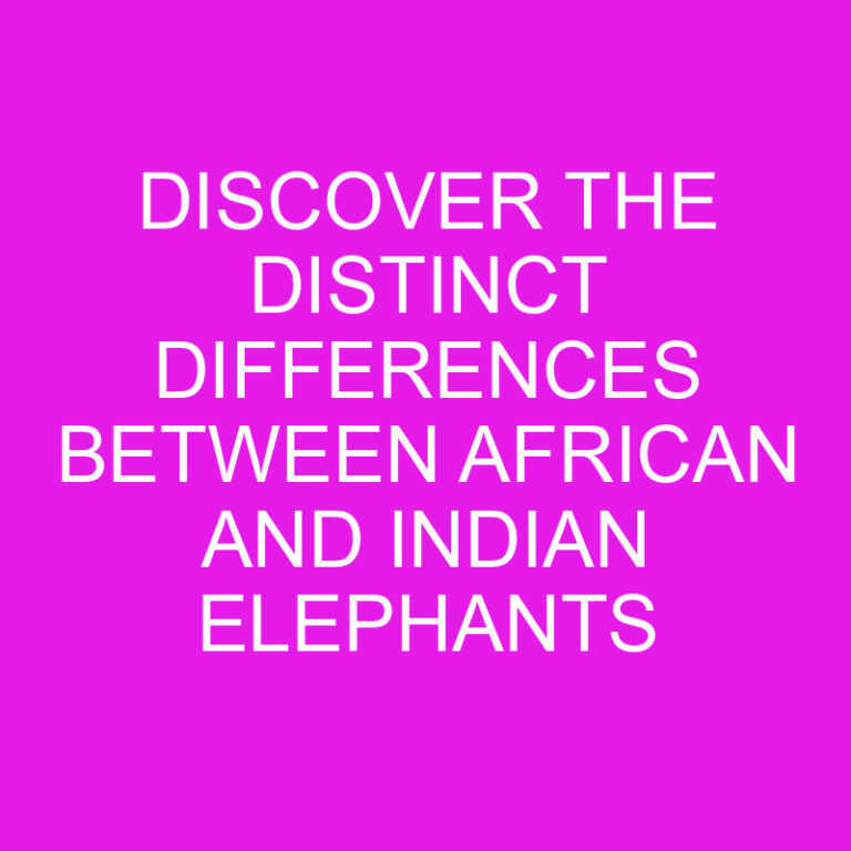 Discover the Distinct Differences Between African and Indian Elephants 7 Discover the Distinct Differences Between African and Indian Elephants