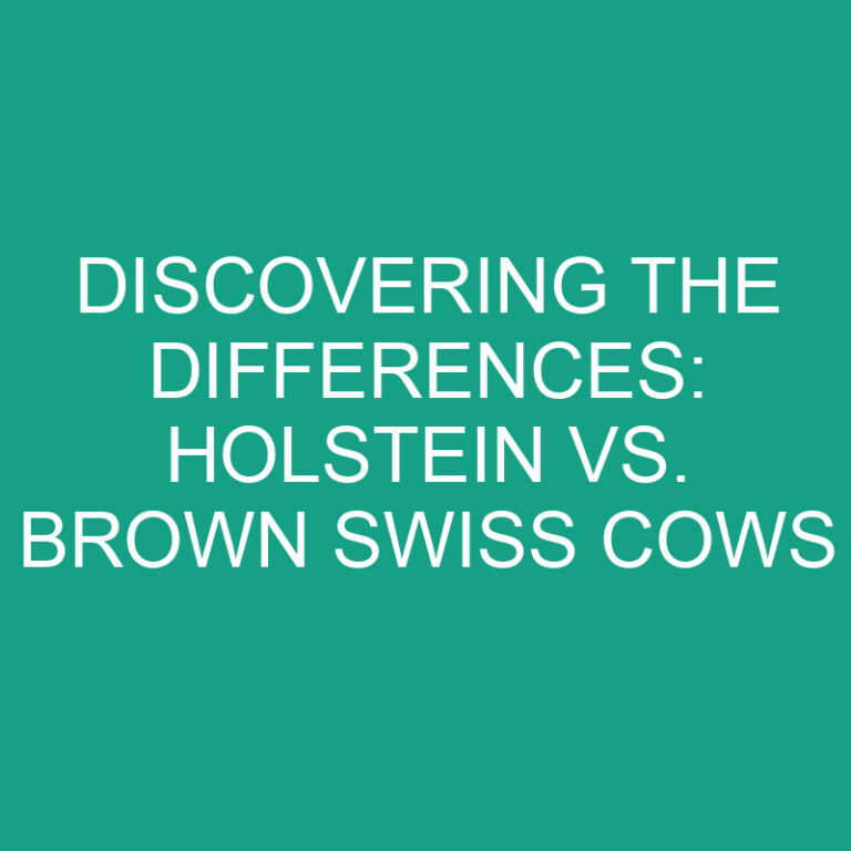 Discovering the Differences: Holstein vs. Brown Swiss Cows 6 Discovering the Differences: Holstein vs. Brown Swiss Cows