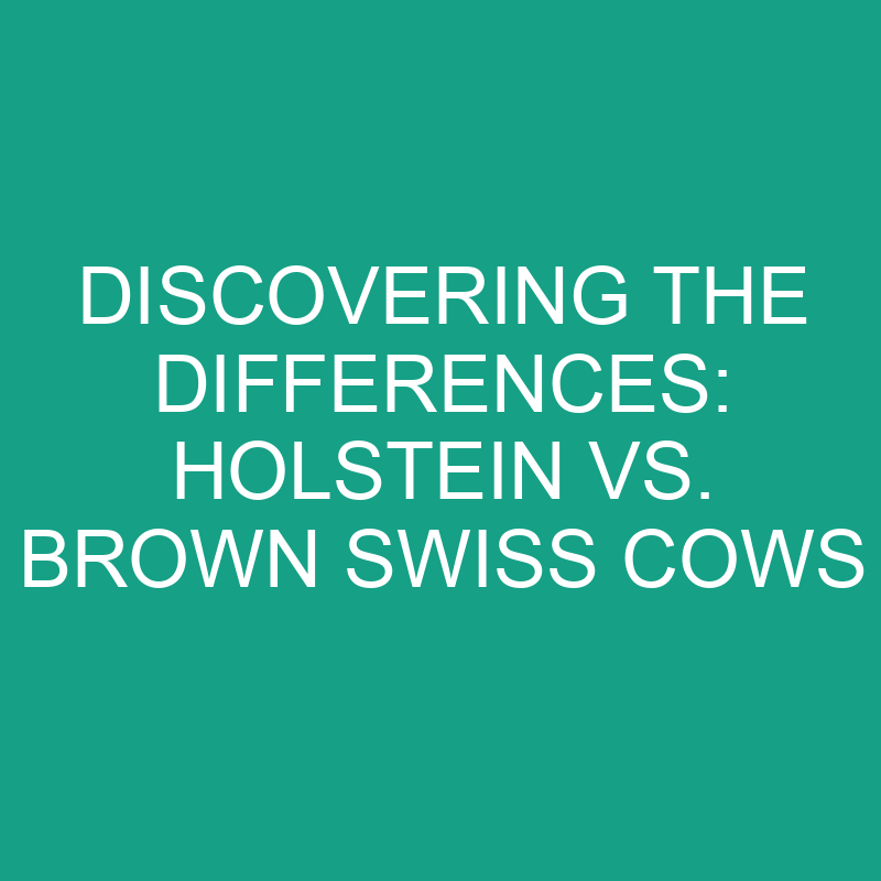Discovering the Differences: Holstein vs. Brown Swiss Cows 1 discovering the differences holstein vs brown swiss cows 11784