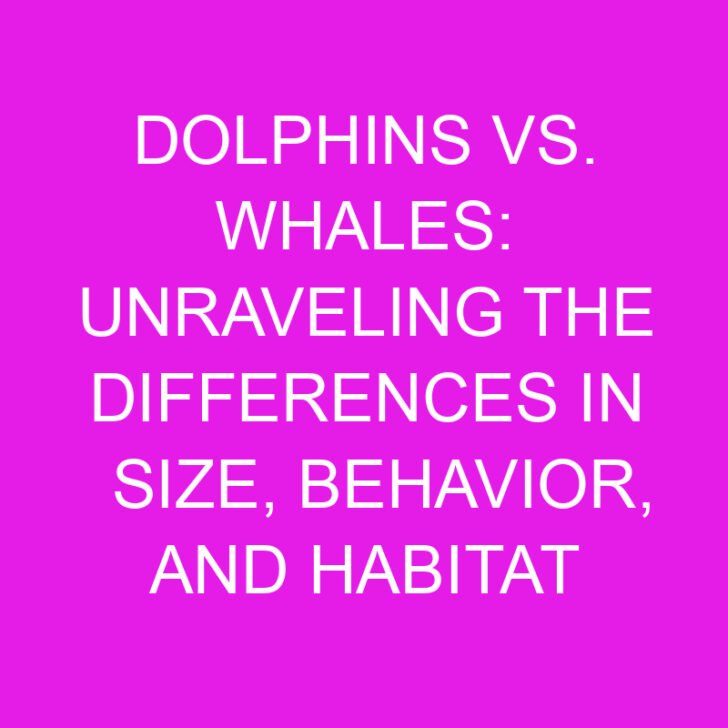 Dolphins vs. Whales: Unraveling the Differences in Size, Behavior, and Habitat