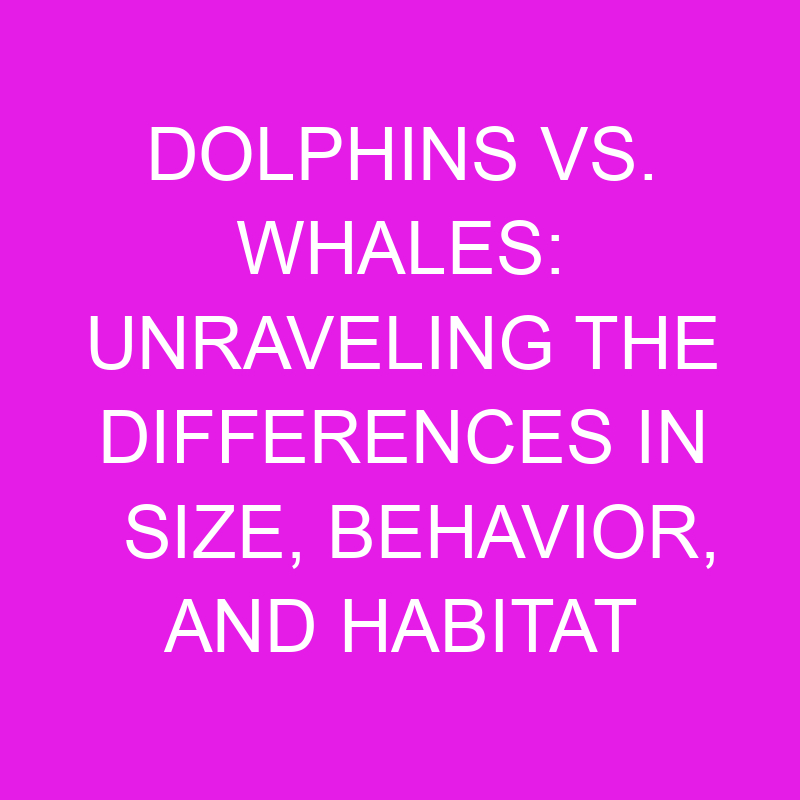 dolphins vs whales unraveling the differences in size behavior and habitat 11942