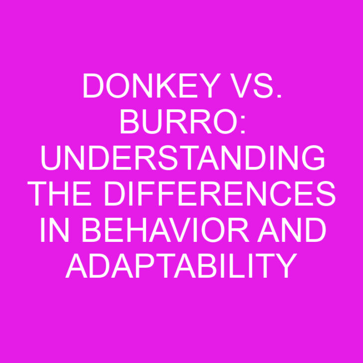 Donkey vs. Burro: Understanding the Differences in Behavior and Adaptability