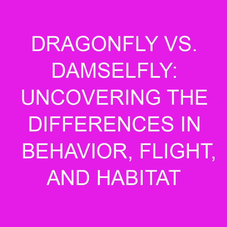 Dragonfly vs. Damselfly: Uncovering the Differences in Behavior, Flight, and Habitat