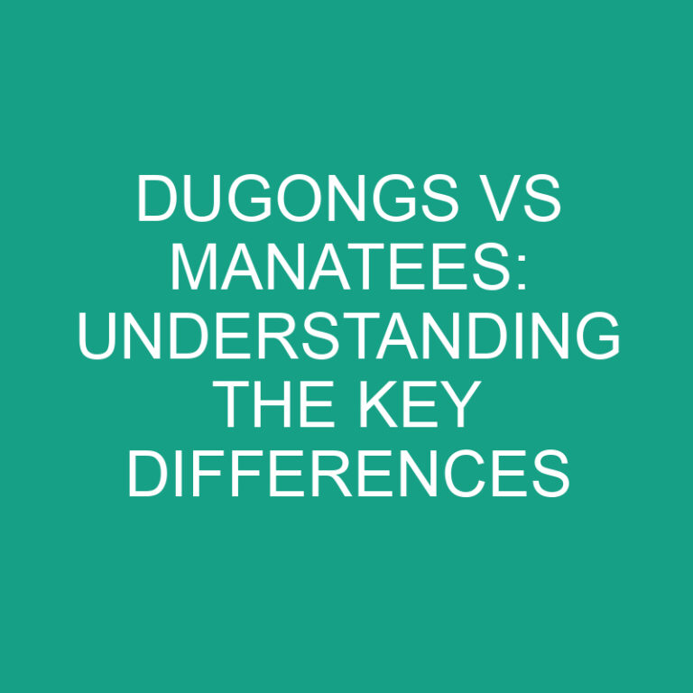 Dugongs vs Manatees: Understanding the Key Differences