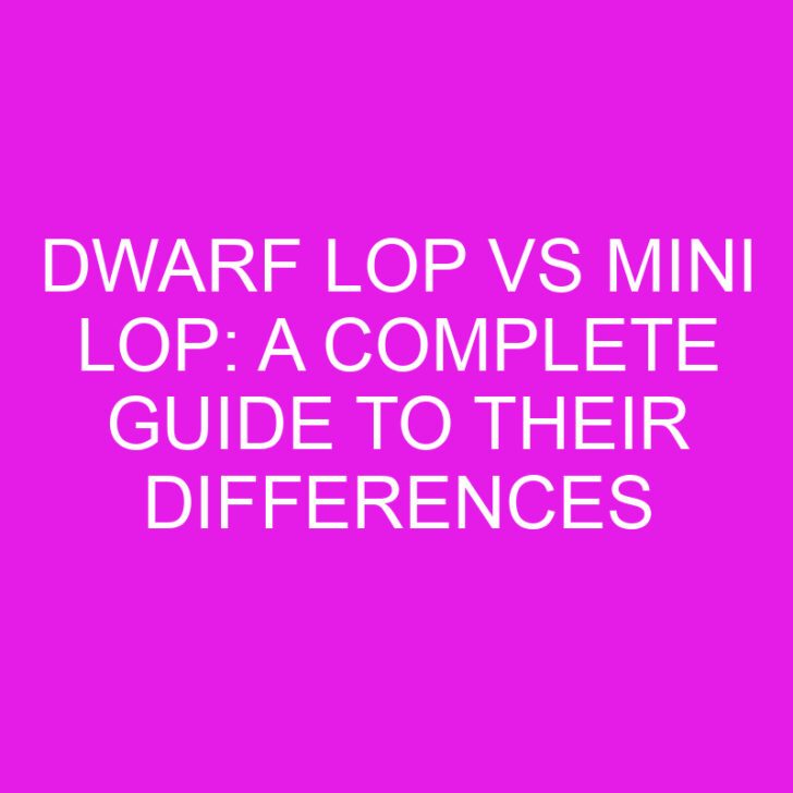 Dwarf Lop vs Mini Lop: A Complete Guide to Their Differences