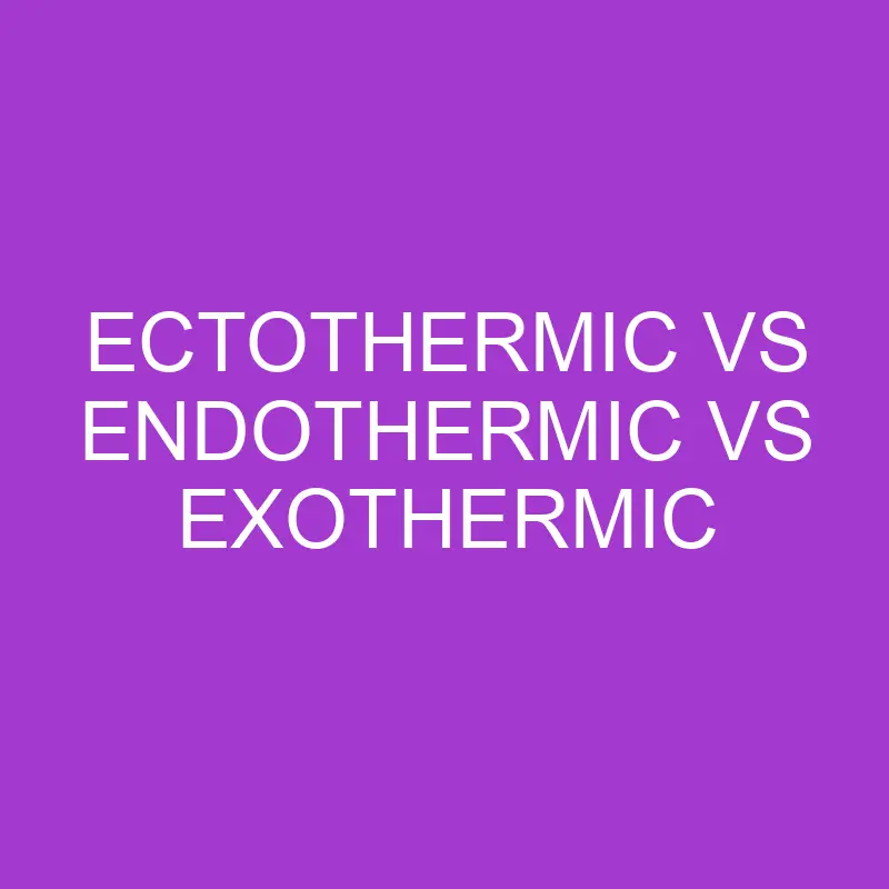 Ectothermic vs Endothermic vs Exothermic Process