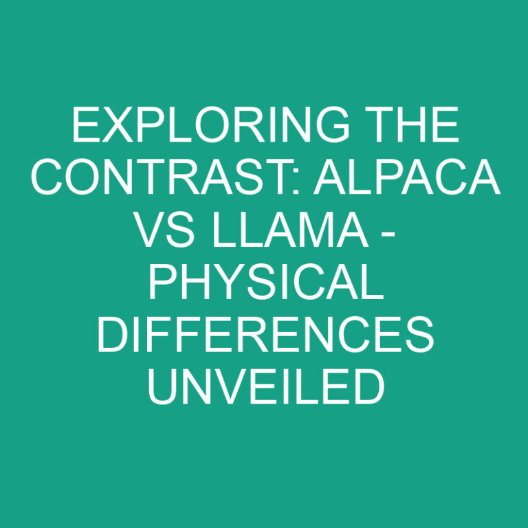 Alpaca vs Llama – Contrast and Physical Differences Unveiled