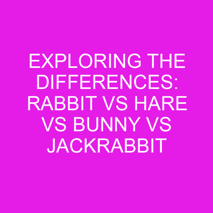 Exploring the Differences: Rabbit vs Hare vs Bunny vs Jackrabbit