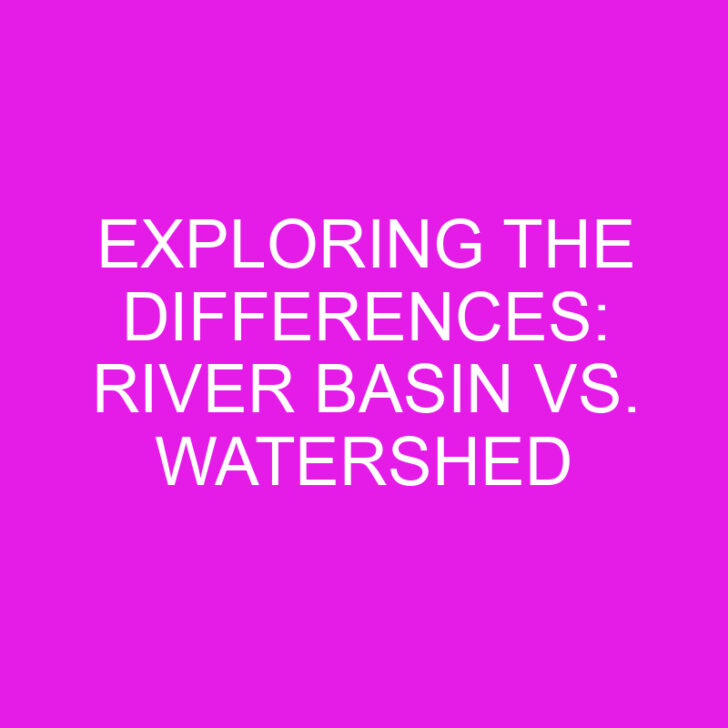 Exploring the Differences: River Basin vs. Watershed