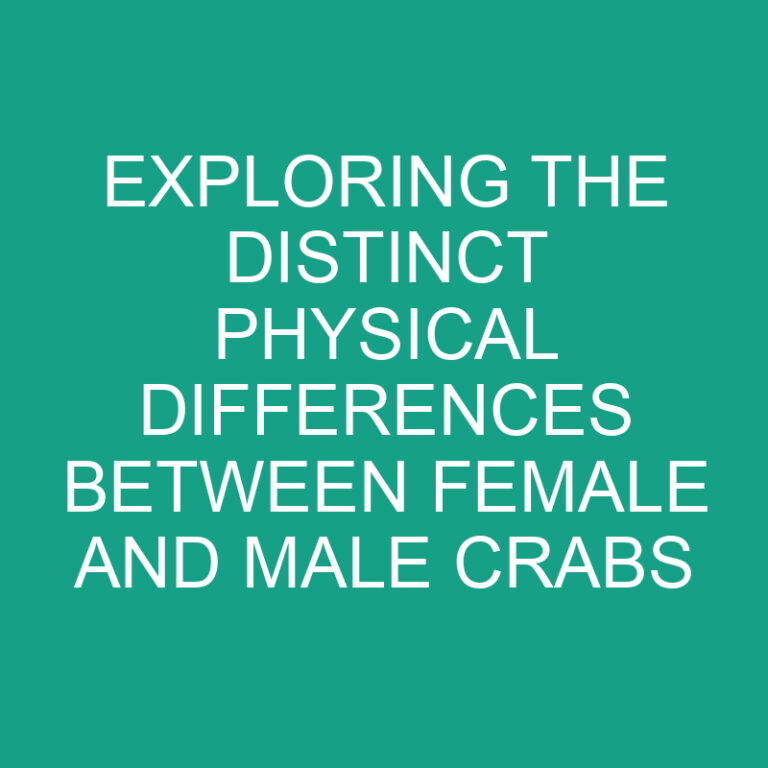 Exploring the Distinct Physical Differences Between Female and Male Crabs 2 Exploring the Distinct Physical Differences Between Female and Male Crabs