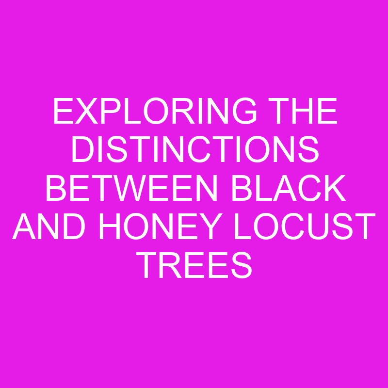 exploring the distinctions between black and honey locust trees 11920