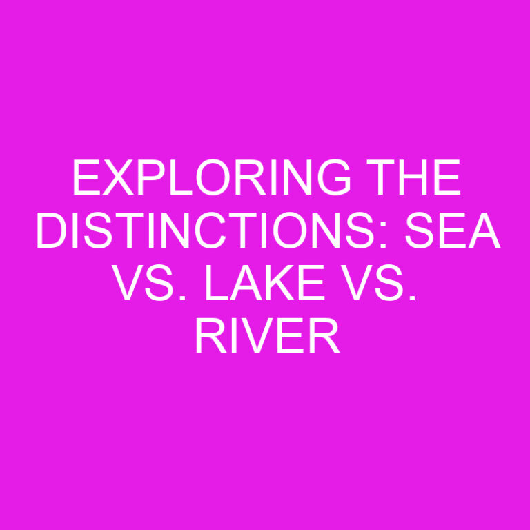 Exploring the Distinctions: Sea vs. Lake vs. River