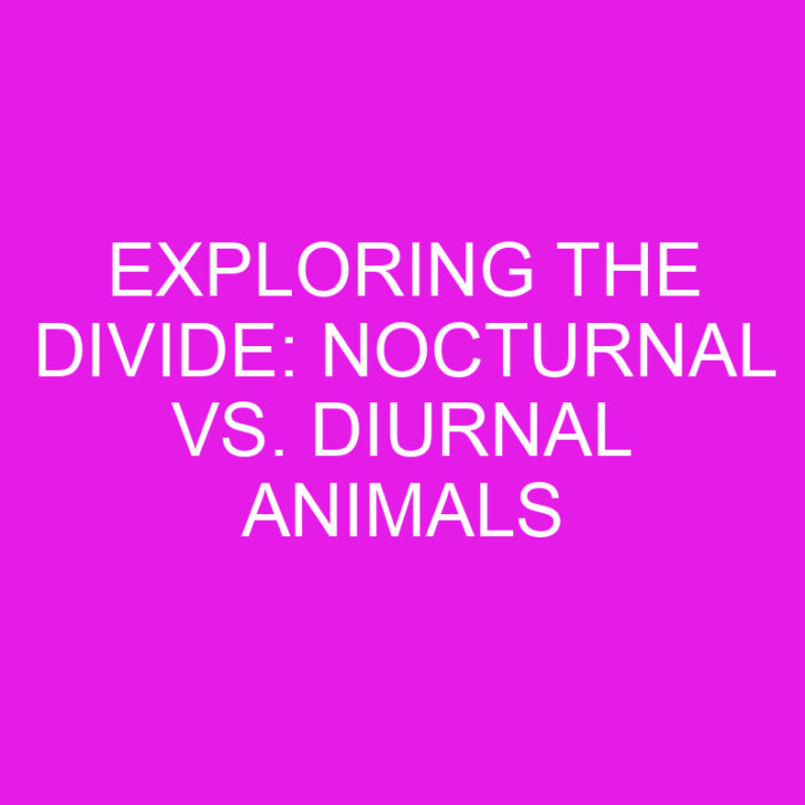 Exploring the Divide: Nocturnal vs. Diurnal Animals