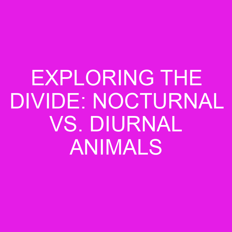 exploring the divide nocturnal vs diurnal animals 11980