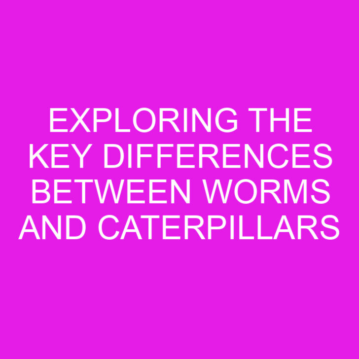 Exploring the Key Differences Between Worms and Caterpillars