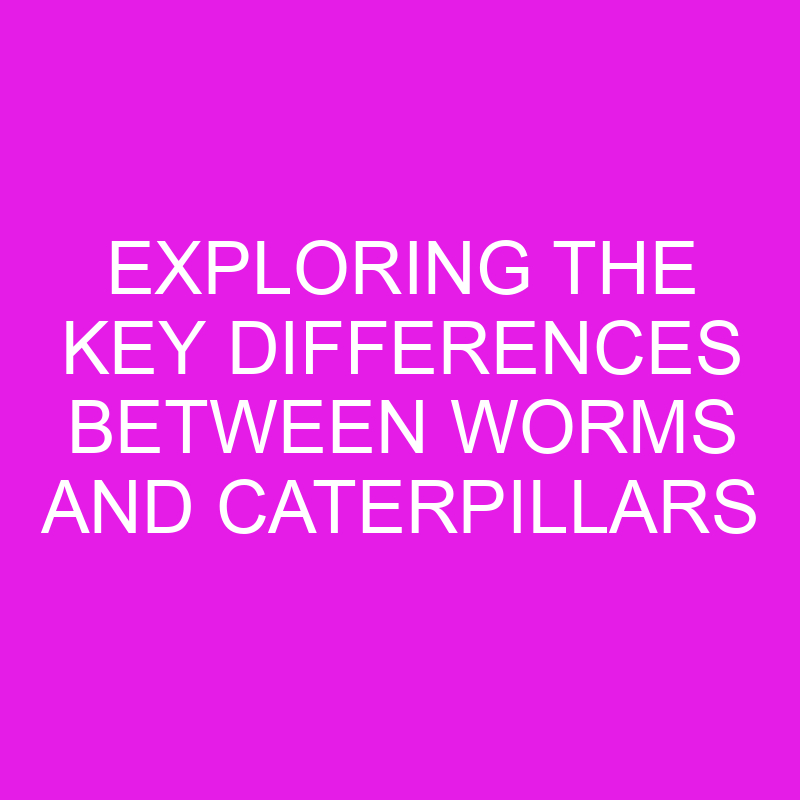 Exploring the Key Differences Between Worms and Caterpillars 1 exploring the key differences between worms and caterpillars 11983