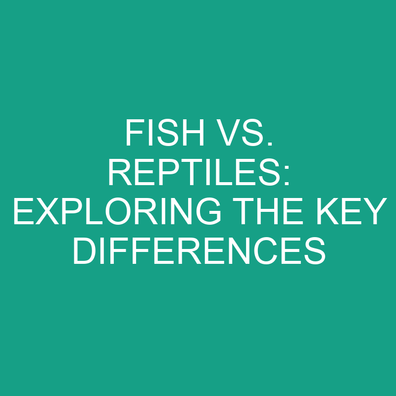 fish vs reptiles exploring the key differences 11791