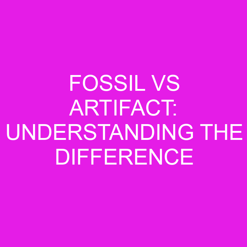 fossil vs artifact understanding the difference 12001