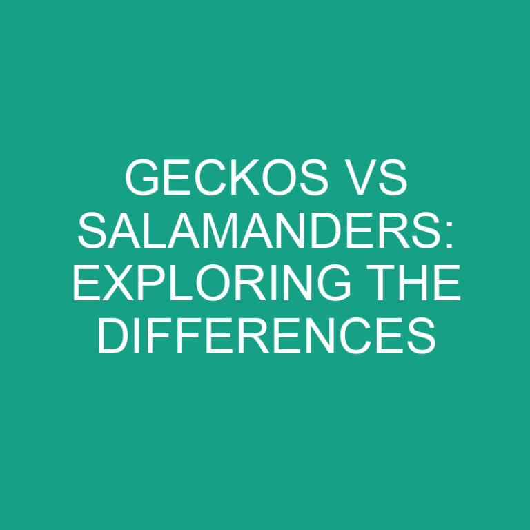 Geckos vs Salamanders: Exploring the Differences
