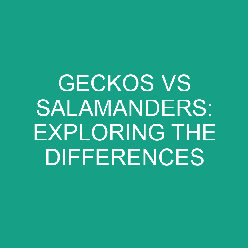 geckos vs salamanders exploring the differences 11806