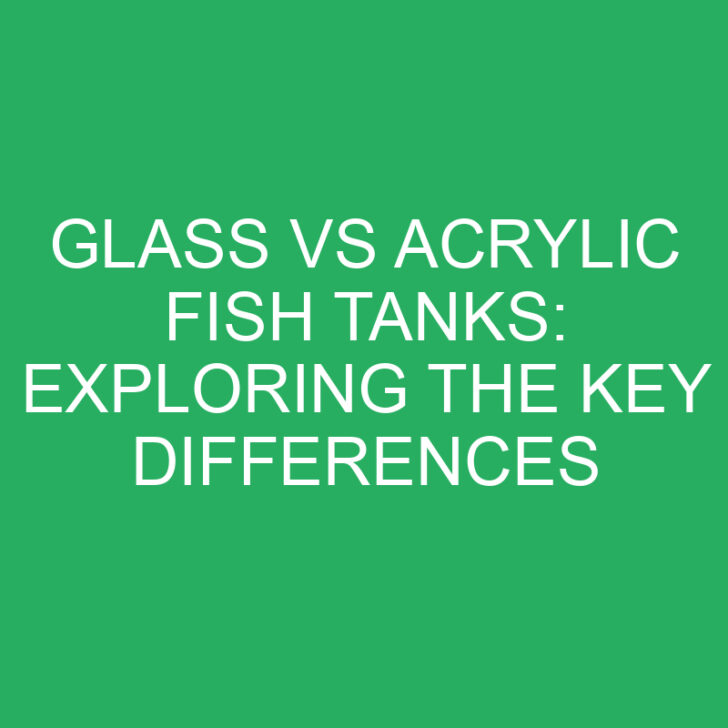 Glass vs Acrylic Fish Tanks: Exploring the Key Differences