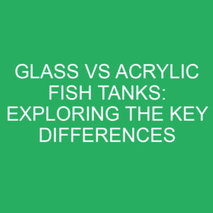 glass vs acrylic fish tanks exploring the key differences 12305