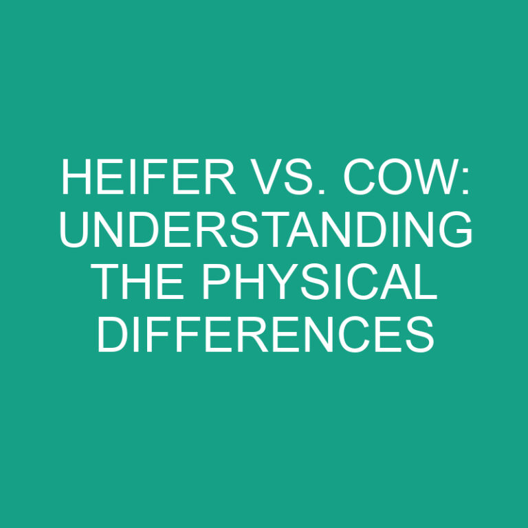 Heifer vs. Cow: Understanding the Physical Differences