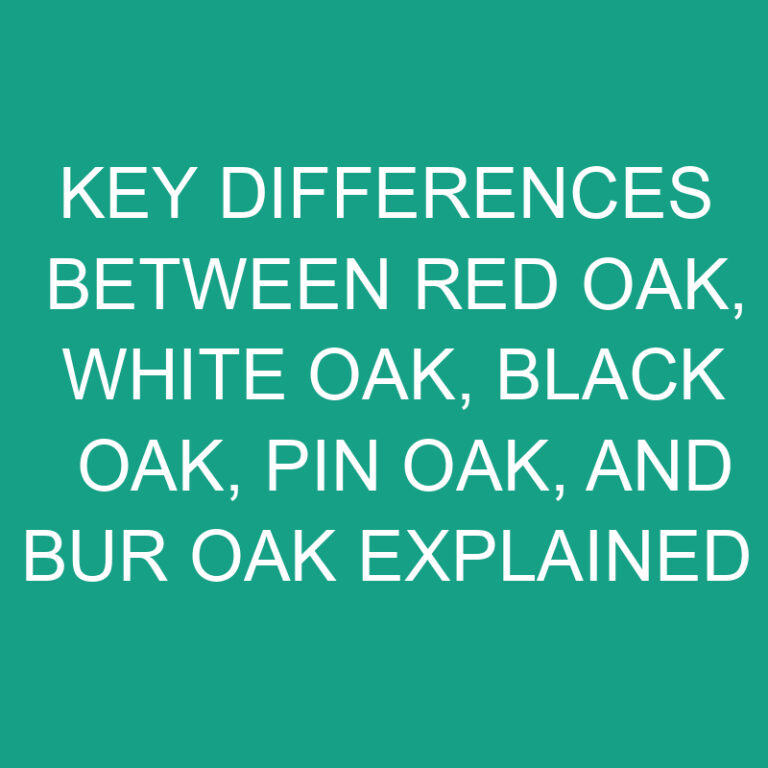 Key Differences Between Red Oak, White Oak, Black Oak, Pin Oak, and Bur Oak Explained