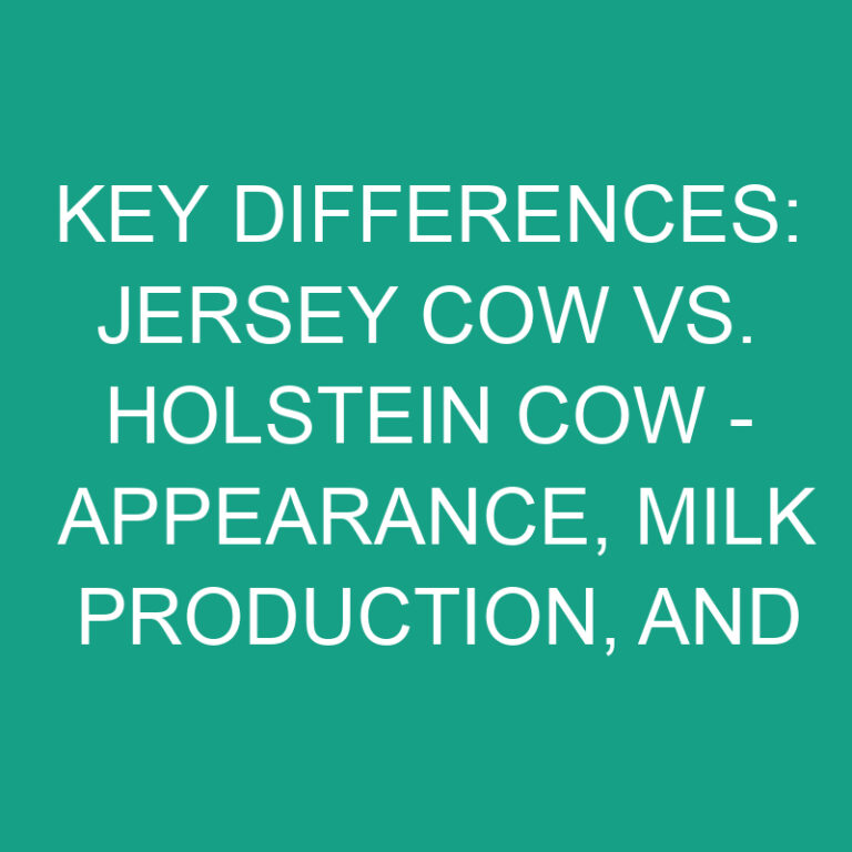 Key Differences: Jersey Cow vs. Holstein Cow – Appearance, Milk Production, and Temperament Explained