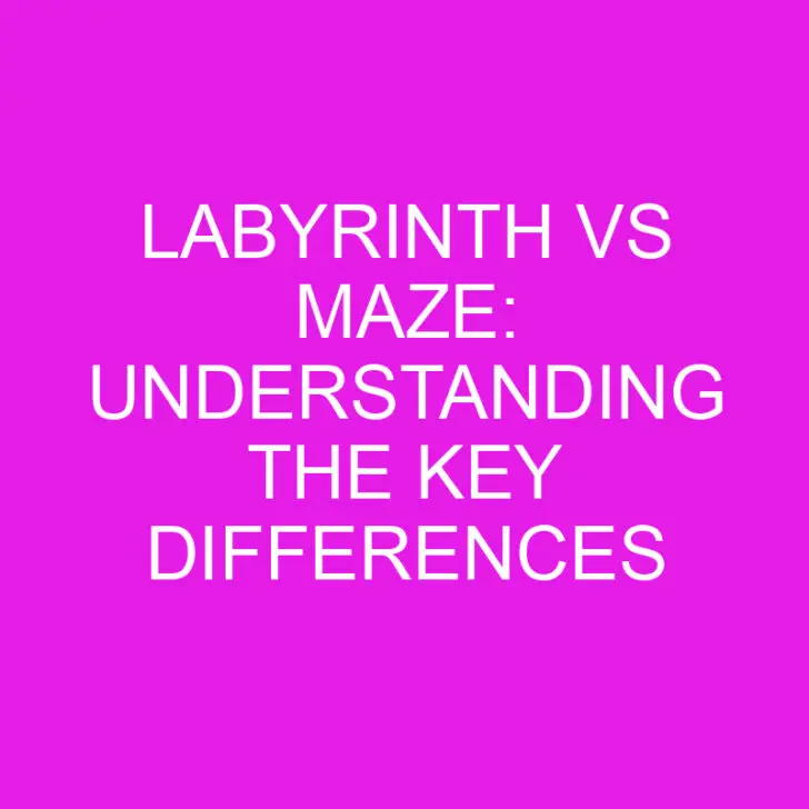 Labyrinth vs Maze: Understanding the Key Differences