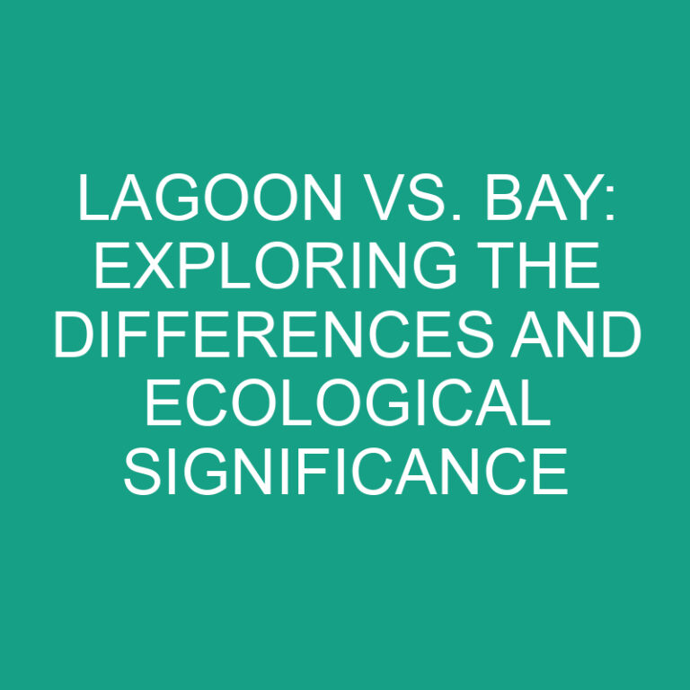 Lagoon vs. Bay: Exploring the Differences and Ecological Significance